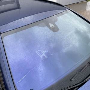 SKY BLUE 230 C